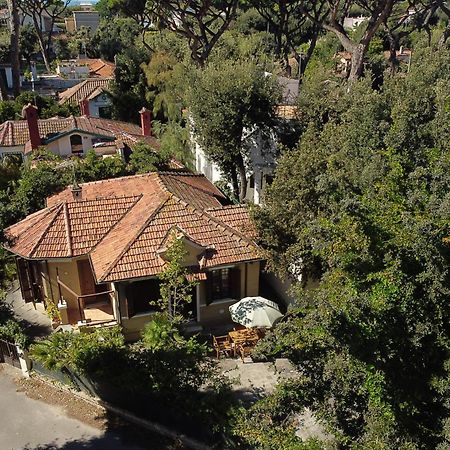 Exclusive Charming Villa - Free Parking 400 Mq Garden - Rome Airport - Roseto Villa Dream Fregenae Kültér fotó
